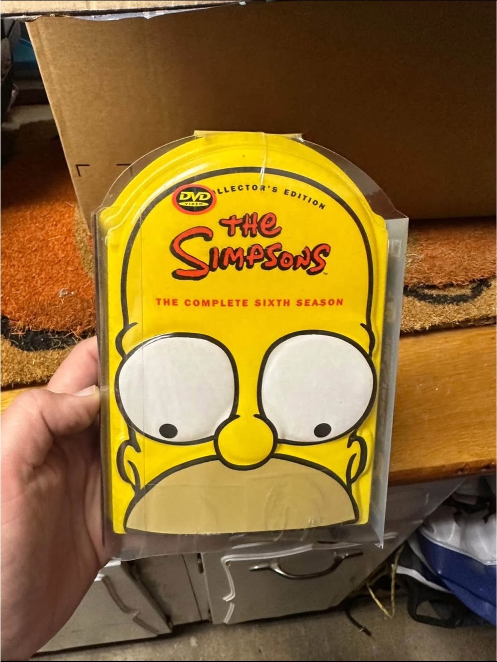 The Simpsons Complete 6th Season DVD set